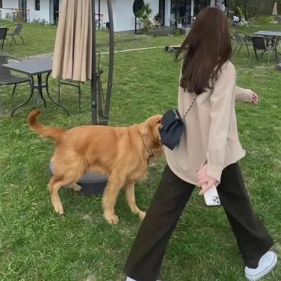 巴黎春梦